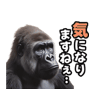 傾聴する聞き上手なゴリラ（個別スタンプ：5）