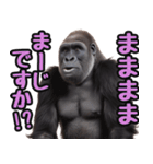 傾聴する聞き上手なゴリラ（個別スタンプ：11）