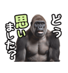 傾聴する聞き上手なゴリラ（個別スタンプ：13）