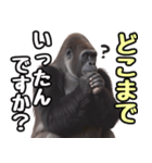傾聴する聞き上手なゴリラ（個別スタンプ：15）