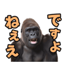 傾聴する聞き上手なゴリラ（個別スタンプ：16）