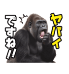 傾聴する聞き上手なゴリラ（個別スタンプ：17）