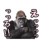 傾聴する聞き上手なゴリラ（個別スタンプ：19）