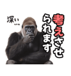 傾聴する聞き上手なゴリラ（個別スタンプ：26）