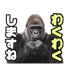 傾聴する聞き上手なゴリラ（個別スタンプ：27）
