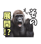 傾聴する聞き上手なゴリラ（個別スタンプ：28）
