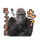 傾聴する聞き上手なゴリラ（個別スタンプ：29）