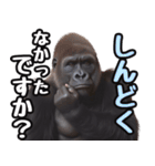 傾聴する聞き上手なゴリラ（個別スタンプ：30）