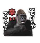 傾聴する聞き上手なゴリラ（個別スタンプ：31）