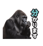 傾聴する聞き上手なゴリラ（個別スタンプ：33）