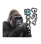 傾聴する聞き上手なゴリラ（個別スタンプ：34）
