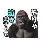傾聴する聞き上手なゴリラ（個別スタンプ：35）