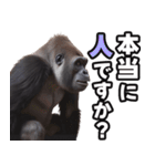 傾聴する聞き上手なゴリラ（個別スタンプ：36）