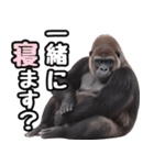 傾聴する聞き上手なゴリラ（個別スタンプ：40）