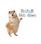 ああ言えばfor you柴犬【面白い・ネタ】（個別スタンプ：3）