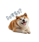 ああ言えばfor you柴犬【面白い・ネタ】（個別スタンプ：4）