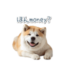 ああ言えばfor you柴犬【面白い・ネタ】（個別スタンプ：10）
