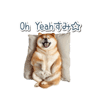 ああ言えばfor you柴犬【面白い・ネタ】（個別スタンプ：11）