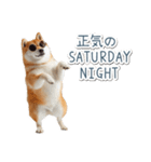 ああ言えばfor you柴犬【面白い・ネタ】（個別スタンプ：17）