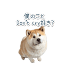 ああ言えばfor you柴犬【面白い・ネタ】（個別スタンプ：27）