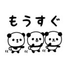 ミニパンダのスタンプ/でか文字・日常編2（個別スタンプ：31）