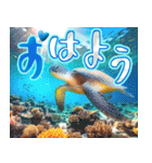 飛び出す♡暑い夏の挨拶＆暑中見舞い（個別スタンプ：1）