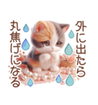 3D 三毛猫の夏のマリンモチーフ（個別スタンプ：38）