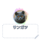 ショート動画の人々：メッセージスタンプ（個別スタンプ：21）