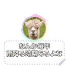ショート動画の人々：メッセージスタンプ（個別スタンプ：23）