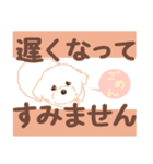 【でか文字敬語】チワプー犬タフィ4（個別スタンプ：16）