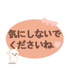 【でか文字敬語】チワプー犬タフィ4（個別スタンプ：28）