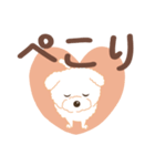 【でか文字敬語】チワプー犬タフィ4（個別スタンプ：37）