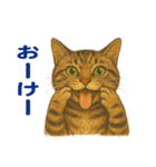 鯖猫ジャック（個別スタンプ：1）