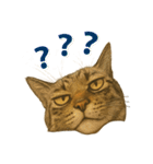 鯖猫ジャック（個別スタンプ：3）