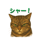 鯖猫ジャック（個別スタンプ：4）