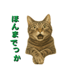 鯖猫ジャック（個別スタンプ：7）