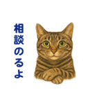 鯖猫ジャック（個別スタンプ：10）