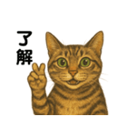 鯖猫ジャック（個別スタンプ：11）