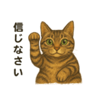 鯖猫ジャック（個別スタンプ：13）