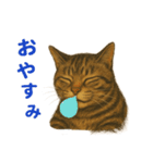 鯖猫ジャック（個別スタンプ：14）