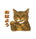 鯖猫ジャック（個別スタンプ：15）
