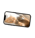 ペルシャ猫 ひよこ スタンプ 7（個別スタンプ：5）