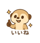 ゆるかわミーヤキャット 日本語（個別スタンプ：1）
