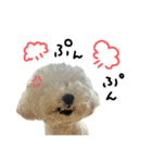 もめちら すたんぷ（個別スタンプ：1）