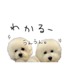 もめちら すたんぷ（個別スタンプ：2）