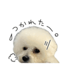 もめちら すたんぷ（個別スタンプ：3）