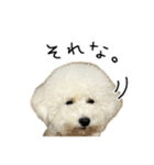 もめちら すたんぷ（個別スタンプ：4）