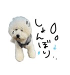 もめちら すたんぷ（個別スタンプ：5）
