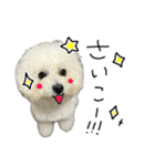 もめちら すたんぷ（個別スタンプ：7）