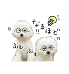 もめちら すたんぷ（個別スタンプ：9）